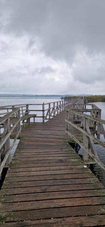 Fewo Im Alten Fachwerkhaus Bad Buchau Bagian luar foto